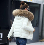 2019 New Winter Jacket Women Faux Fur Hooded Parka Coats Female Long Sleeve Thick Warm Snow Wear Jacket Coat Mujer Quilted Tops