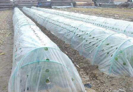 2x10M 2 silk Garden PE film,white color,garden flower greenhouse plastic mulch garden.Agricultural use.Insulation weeding