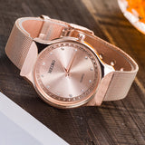 New Luxury European Style Women Watch Stainless Steel Mesh Ladies Quartz Watches Casual Dress Female Wristwatches Reloj Mujer